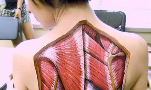 超酷人体绘画，原来我们皮肤下面的肌肉长这样！