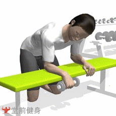 上肢肌肉训练之哑铃腕弯举